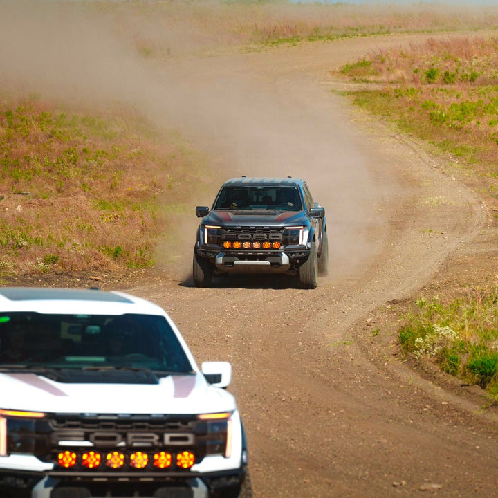 Raptor 101 (Half-Day Experience) With Vehicle Rental