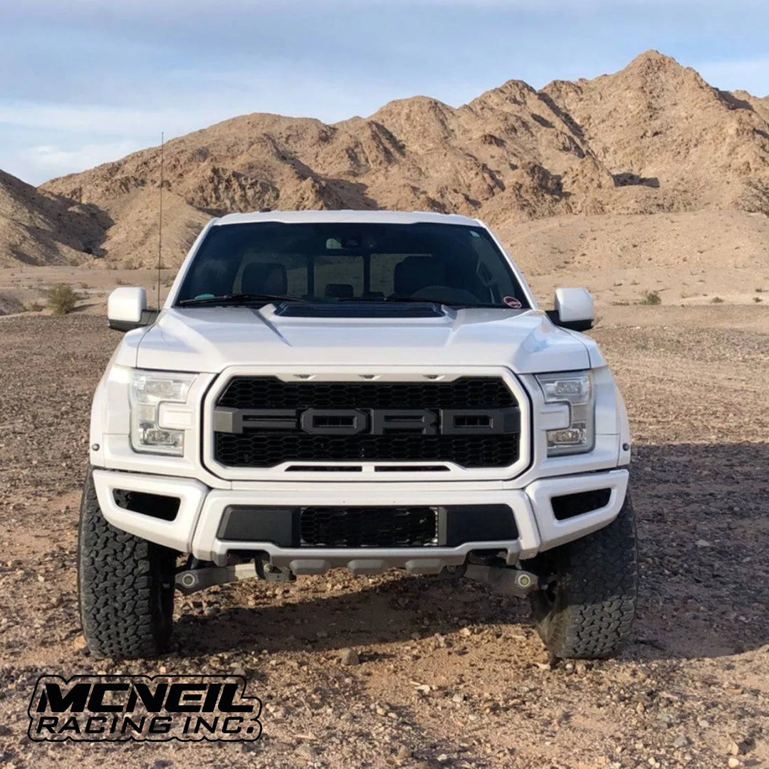 17-20 Raptor Off Road Fiberglass