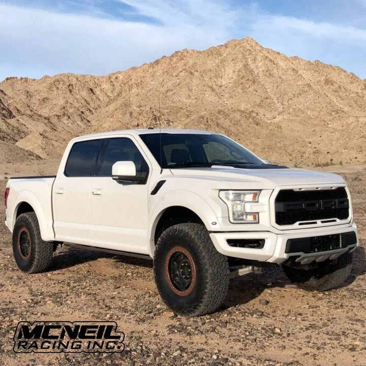 17-20 Raptor Off Road Fiberglass