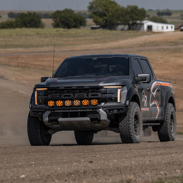 Raptor 101 (Half-Day Experience) With Vehicle Rental