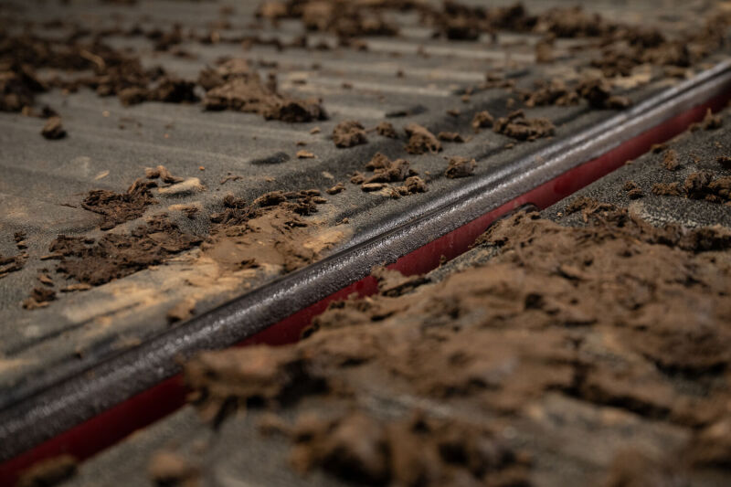 Photo - Close Up