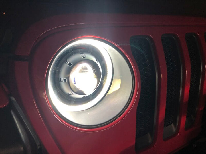 Photo - Close Up